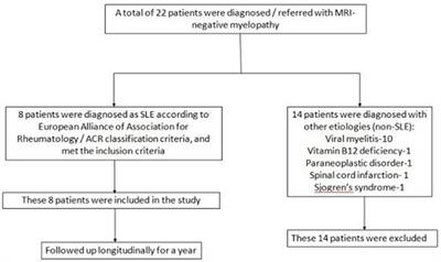 Persistent “MRI-negative” lupus myelitis-disease presentation, immunological profile and outcome